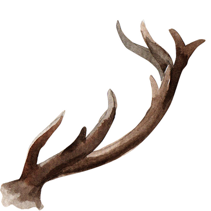 Jólamerkimiðar | 12 stk